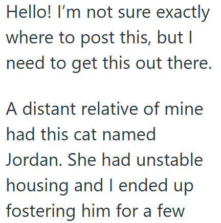 Hello! I'm not sure exactly where to post this, but I need to get this out there. A distant relative of mine had this cat named Jordan. She had unstable housing and I ended up fostering him for a few