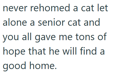 never rehomed a cat let alone a senior cat and you all gave me tons of hope that he will find a good home.