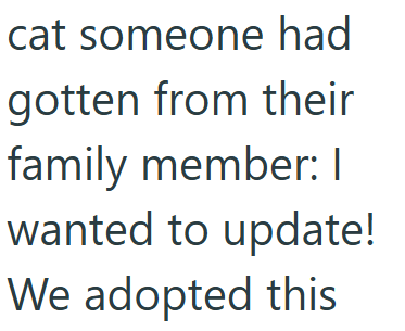 cat someone had gotten from their family member: I wanted to update! We adopted this