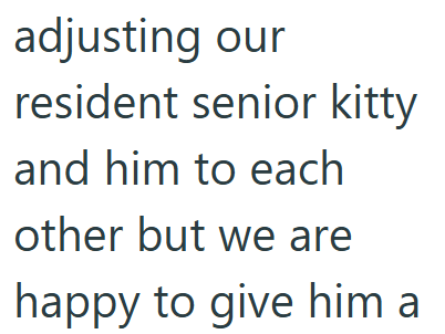adjusting our resident senior kitty and him to each other but we are happy to give him a
