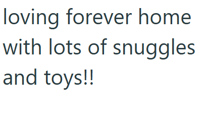 loving forever home with lots of snuggles and toys!!