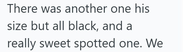There was another one his size but all black, and a really sweet spotted one. We