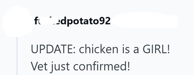 fedpotato92 UPDATE: chicken is a GIRL! Vet just confirmed!