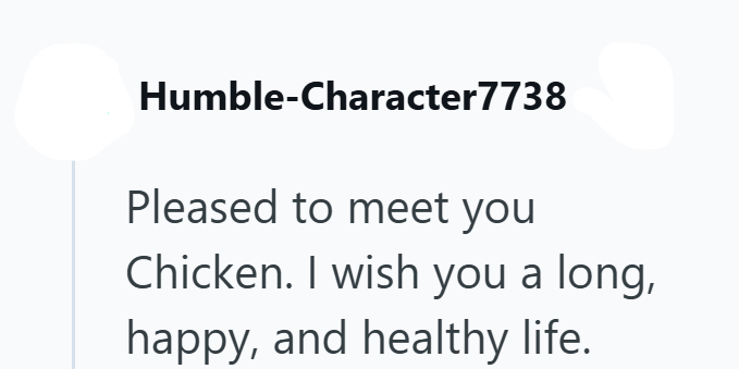 Humble-Character7738 Pleased to meet you Chicken. I wish you a long, happy, and healthy life.