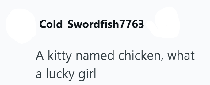 Cold_Swordfish7763 A kitty named chicken, what a lucky girl