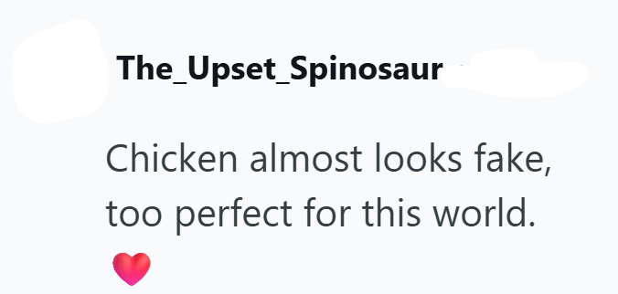 The_Upset_Spinosaur Chicken almost looks fake, too perfect for this world.