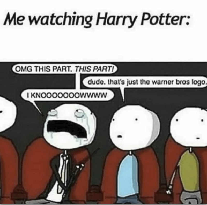 Me watching Harry Potter: OMG THIS PART. THIS PARTI dude. that's just the warner bros logo. I KNOOOOOOOWWWW