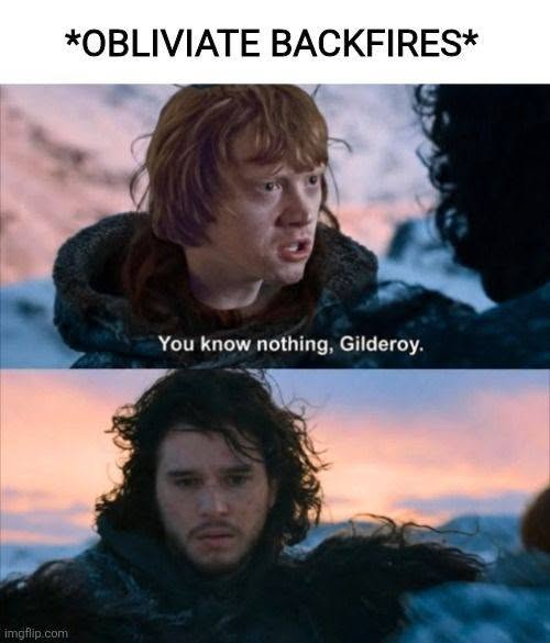 imgflip.com *OBLIVIATE BACKFIRES* You know nothing, Gilderoy.