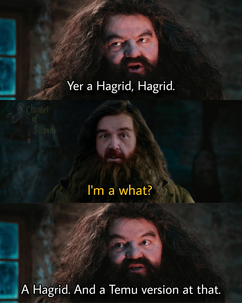 Chamber Yer a Hagrid, Hagrid. of S posts I'm a what? A Hagrid. And a Temu version at that.