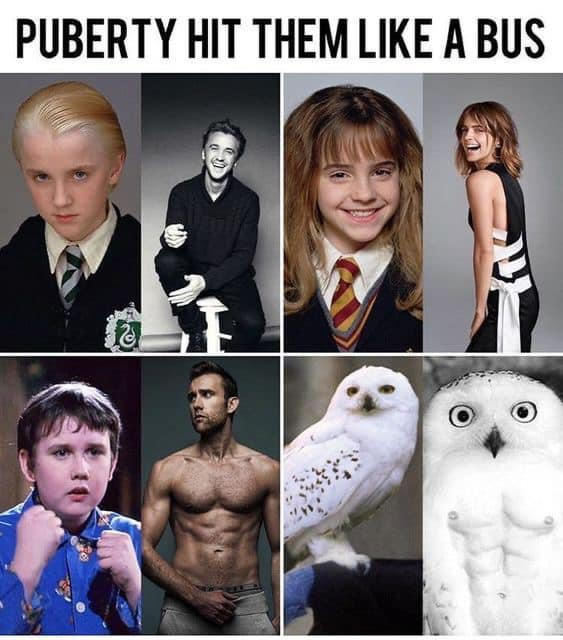 PUBERTY HIT THEM LIKE A BUS