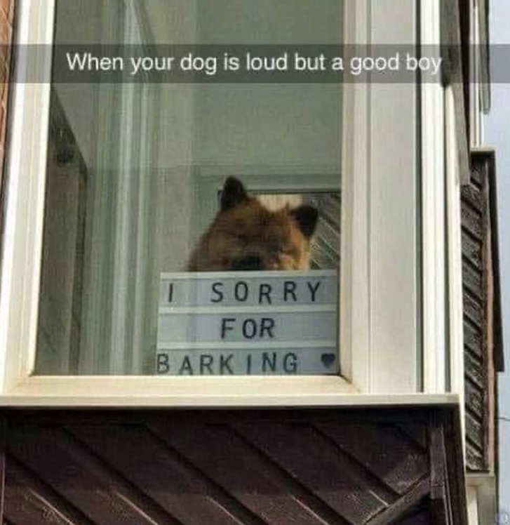 When your dog is loud but a good boy I SORRY FOR BARKING