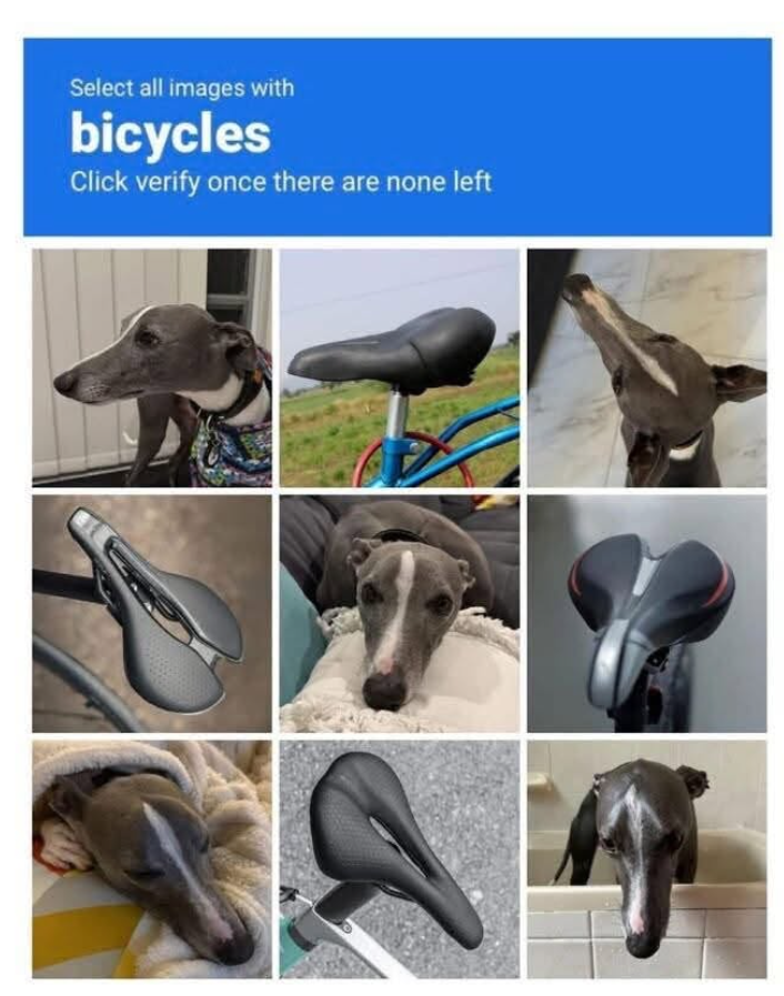 Select all images with bicycles Click verify once there are none left