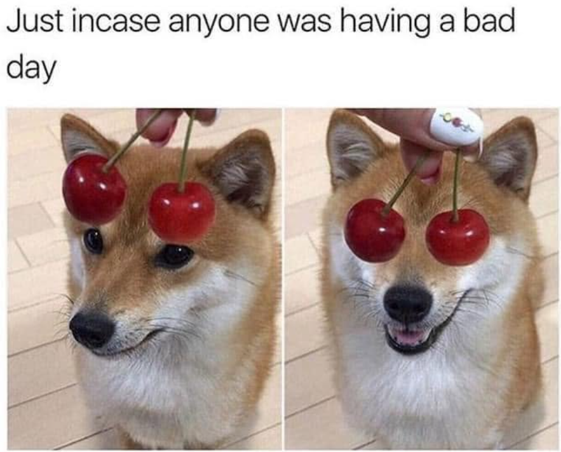 Just incase anyone was having a bad day