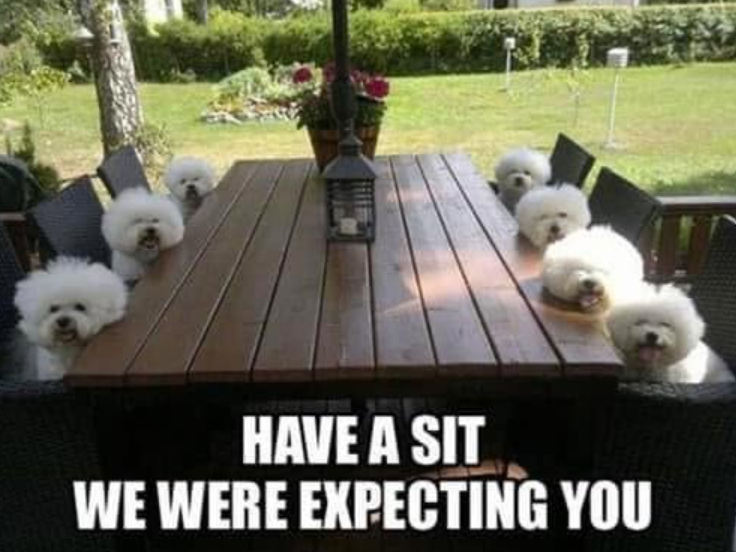 HAVE A SIT WE WERE EXPECTING YOU
