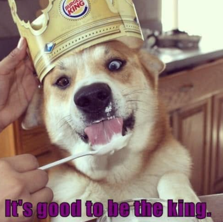 BURG KING It's good to be the king.