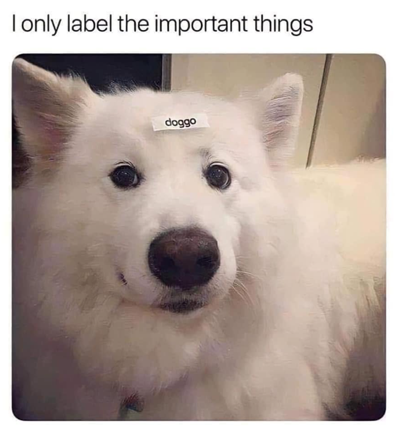 I only label the important things doggo