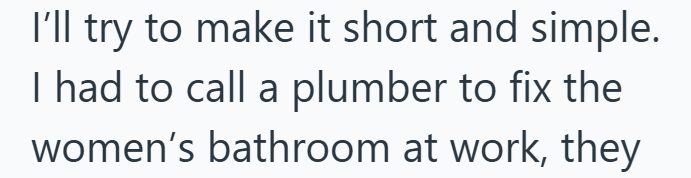 I'll try to make it short and simple. I had to call a plumber to fix the women's bathroom at work, they