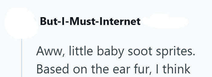 But-I-Must-Internet Aww, little baby soot sprites. Based on the ear fur, I think