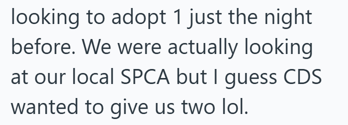 looking to adopt 1 just the night before. We were actually looking at our local SPCA but I guess CDS wanted to give us two lol.