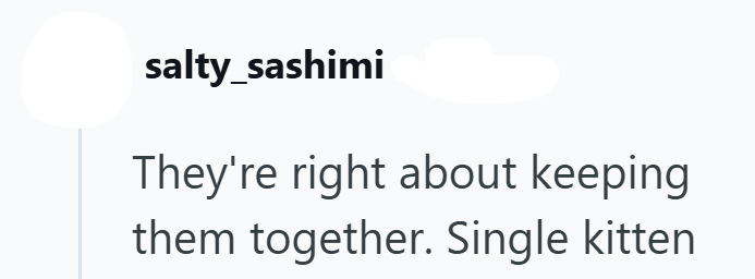 salty_sashimi They're right about keeping them together. Single kitten