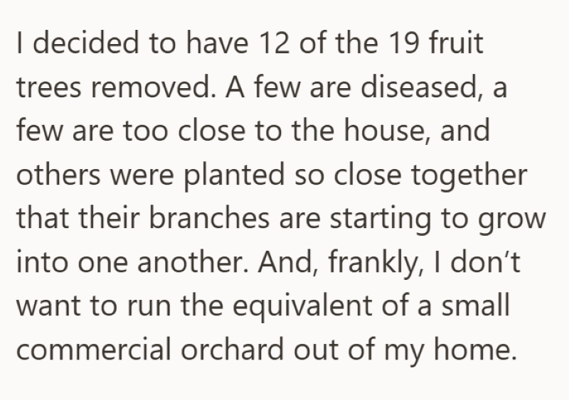 I decided to have 12 of the 19 fruit trees removed. A few are diseased, a few are too close to the house, and others were planted so close together that their branches are starting to grow into one another. And, frankly, I don't want to run the equivalent of a small commercial orchard out of my home.