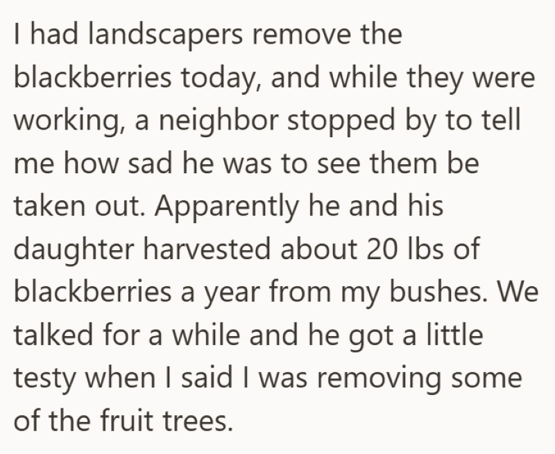 I had landscapers remove the blackberries today, and while they were working, a neighbor stopped by to tell me how sad he was to see them be taken out. Apparently he and his daughter harvested about 20 lbs of blackberries a year from my bushes. We talked for a while and he got a little testy when I said I was removing some of the fruit trees.