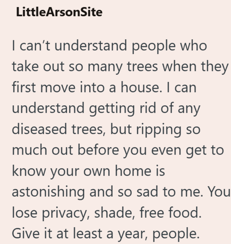 LittleArsonSite I can't understand people who take out so many trees when they first move into a house. I can understand getting rid of any diseased trees, but ripping so much out before you even get to know your own home is astonishing and so sad to me. You lose privacy, shade, free food. Give it at least a year, people.