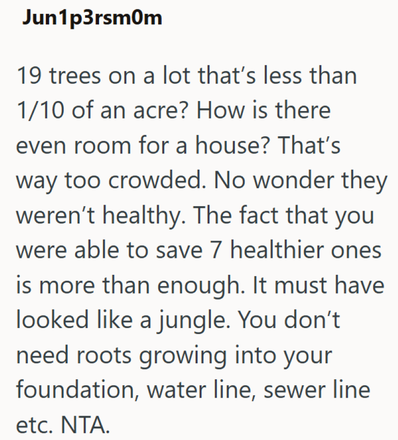 Jun1p3rsm0m 19 trees on a lot that's less than 1/10 of an acre? How is there even room for a house? That's way too crowded. No wonder they weren't healthy. The fact that you were able to save 7 healthier ones is more than enough. It must have looked like a jungle. You don't need roots growing into your foundation, water line, sewer line etc. NTA.
