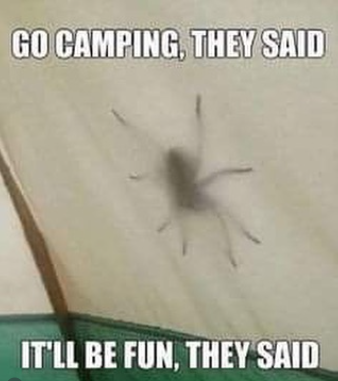 GO CAMPING, THEY SAID IT'LL BE FUN, THEY SAID