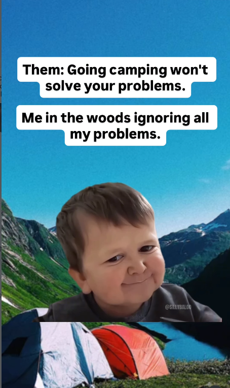 Them: Going camping won't solve your problems. Me in the woods ignoring all my problems. @SILLYBALOQ