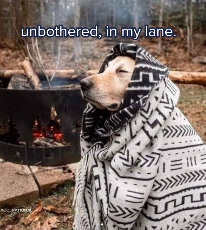 unbothered, in my lane. ACC_NATIONAL ミミ