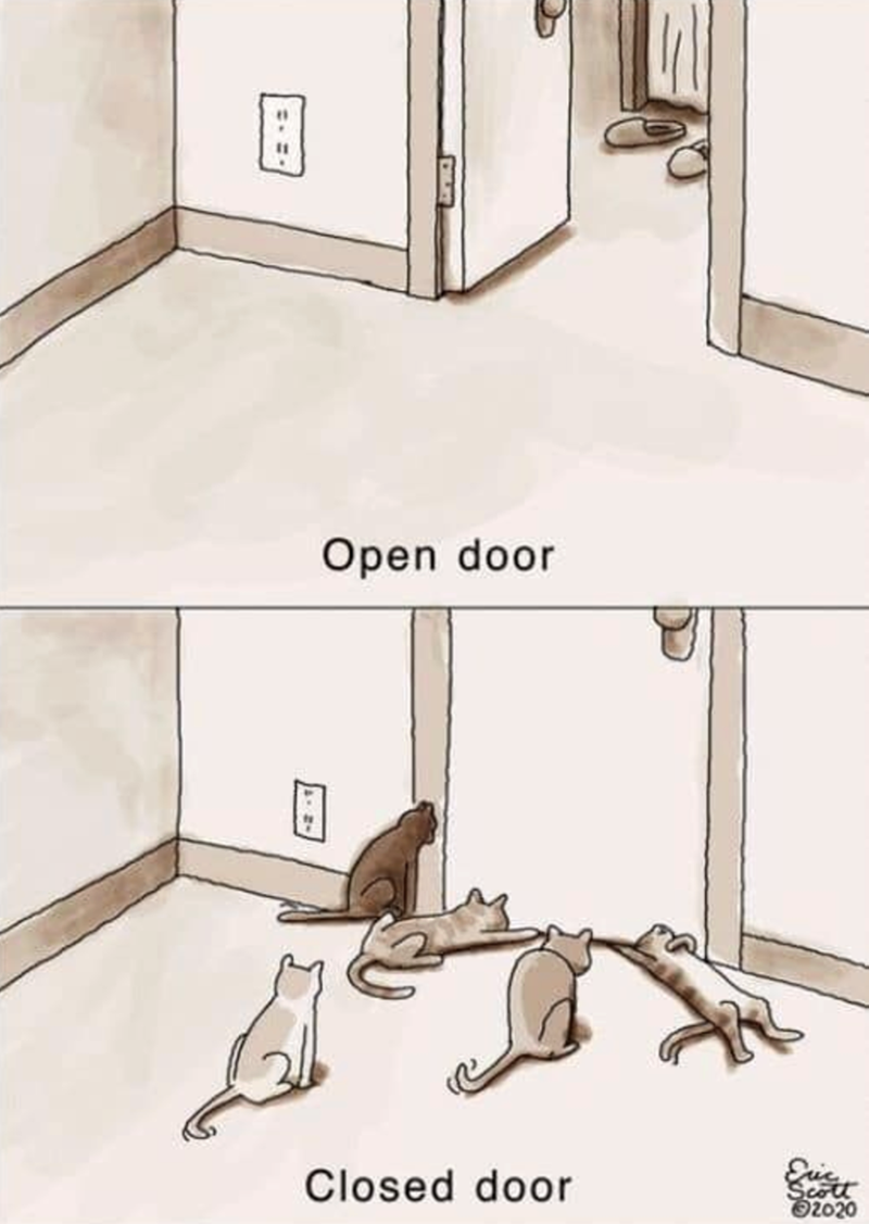 == ERENT Open door Closed door Eric Scott 2020
