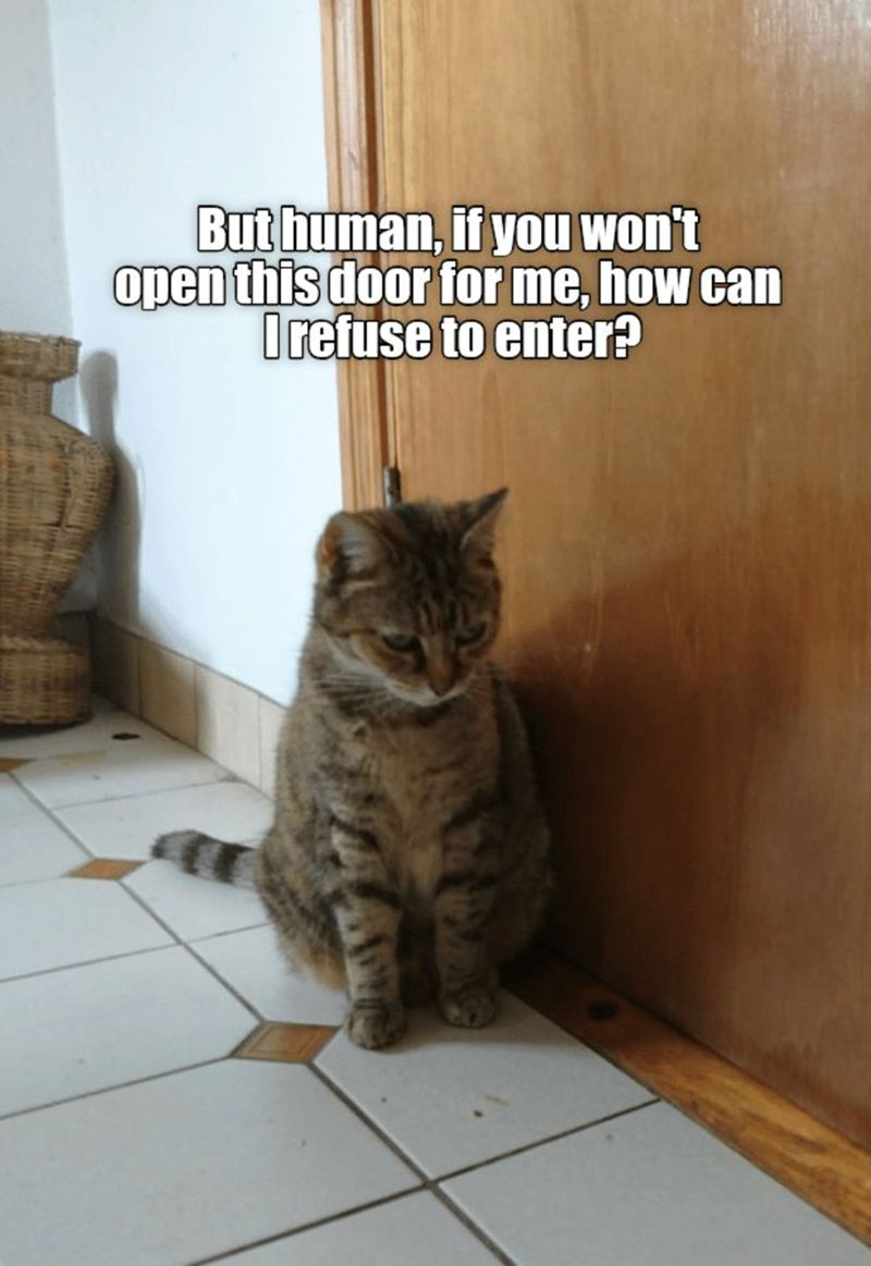 But human, if you won't open this door for me, how can I refuse to enter?