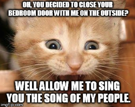 OH, YOU DECIDED TO CLOSE YOUR BEDROOM DOOR WITH ME ON THE OUTSIDE? WELL ALLOW ME TO SING YOU THE SONG OF MY PEOPLE. imgflip.com