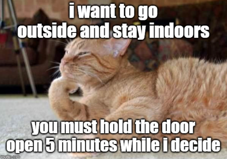 i want to go outside and stay indoors you must hold the door open 5 minutes while i decide imgilip.com