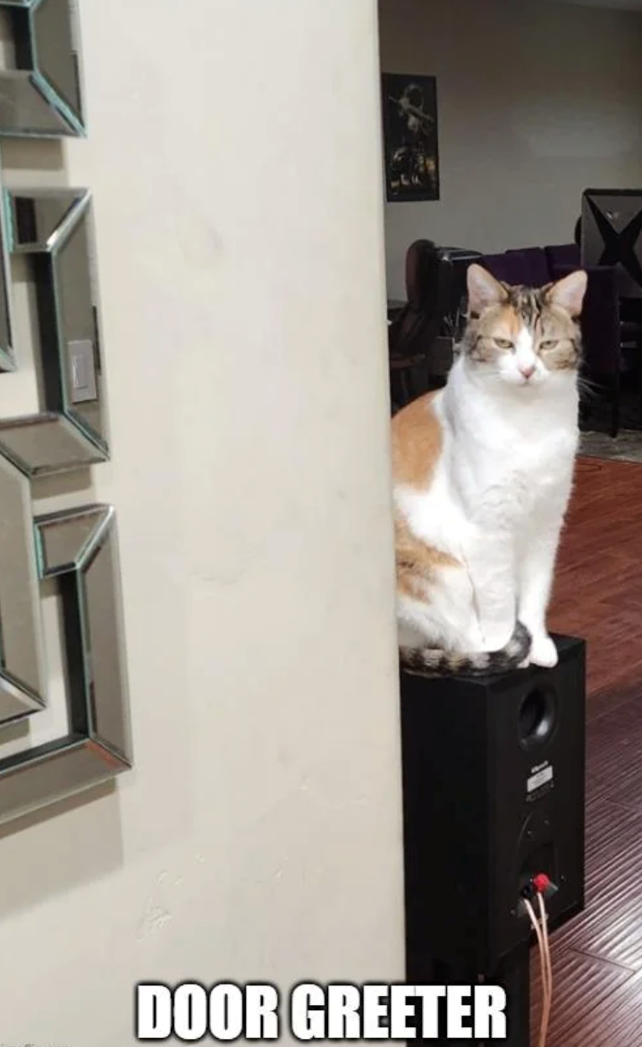 DOOR GREETER