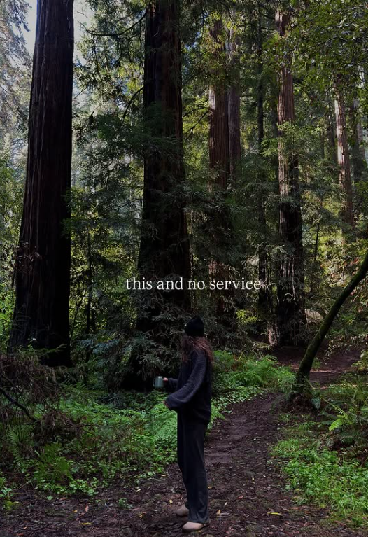 this and no service