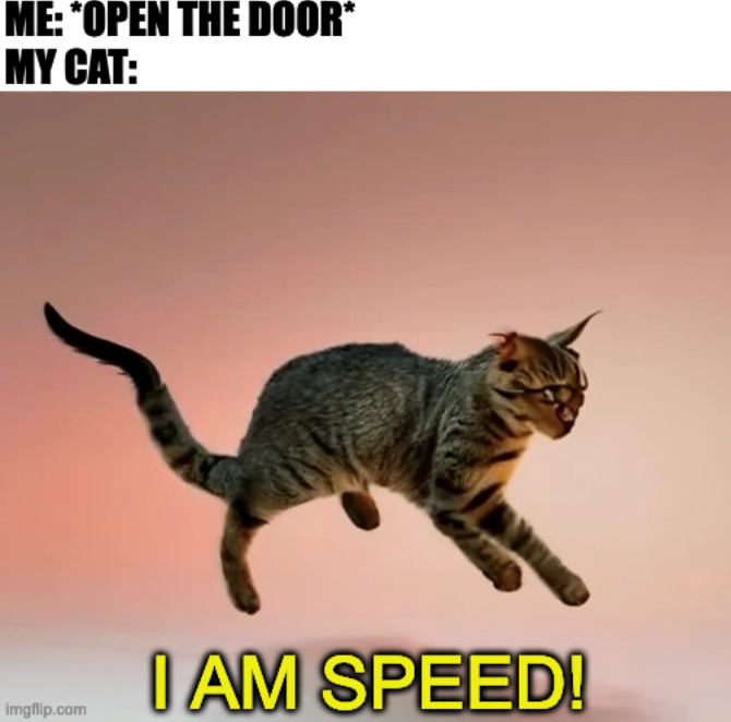 ME: *OPEN THE DOOR* MY CAT: I AM SPEED! imgflip.com
