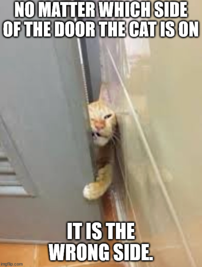 NO MATTER WHICH SIDE OF THE DOOR THE CAT IS ON imgflip.com IT IS THE WRONG SIDE.