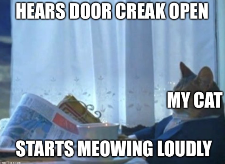 imaflip.com HEARS DOOR CREAK OPEN MY CAT STARTS MEOWING LOUDLY