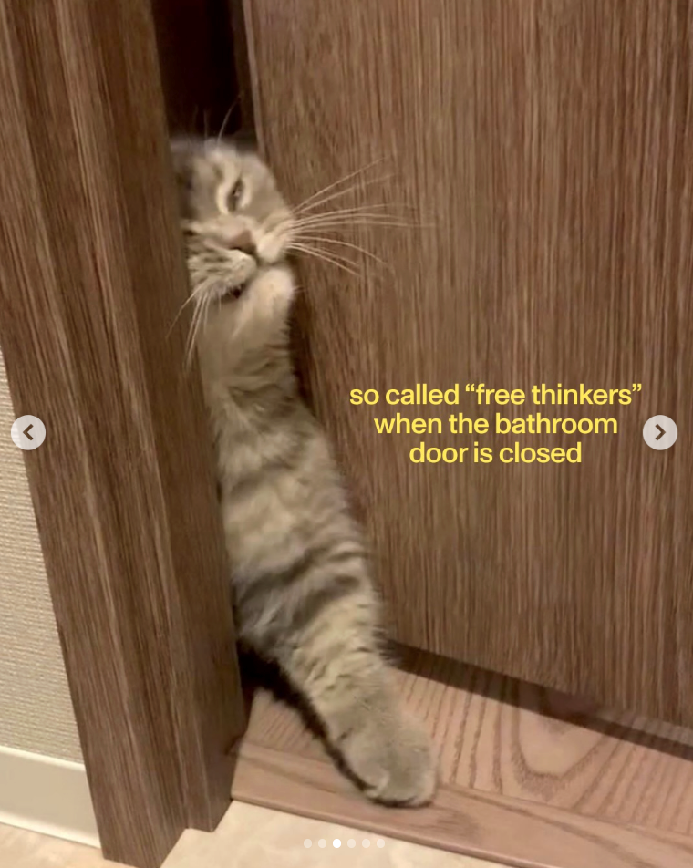 so called "free thinkers" when the bathroom door is closed > >
