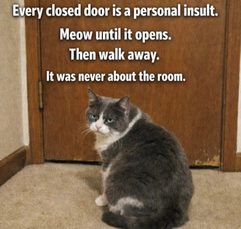 Every closed door is a personal insult. Meow until it opens. Then walk away. It was never about the room.