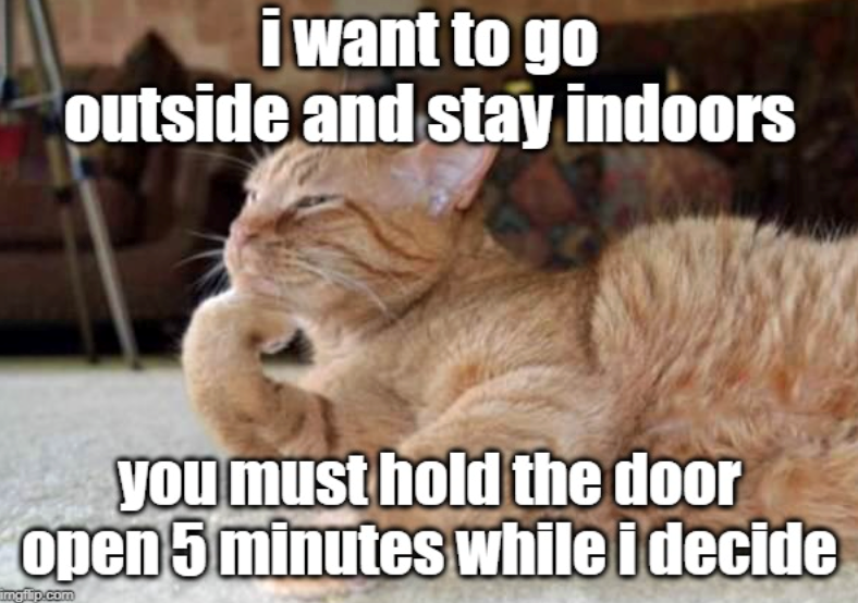 i want to go outside and stay indoors you must hold the door open 5 minutes while i decide imgilip.com