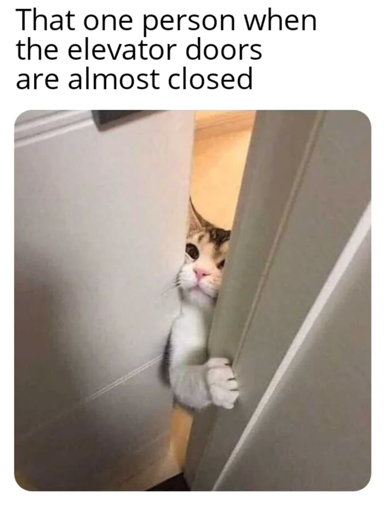 That one person when the elevator doors are almost closed