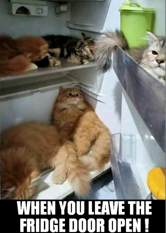 WHEN YOU LEAVE THE FRIDGE DOOR OPEN!