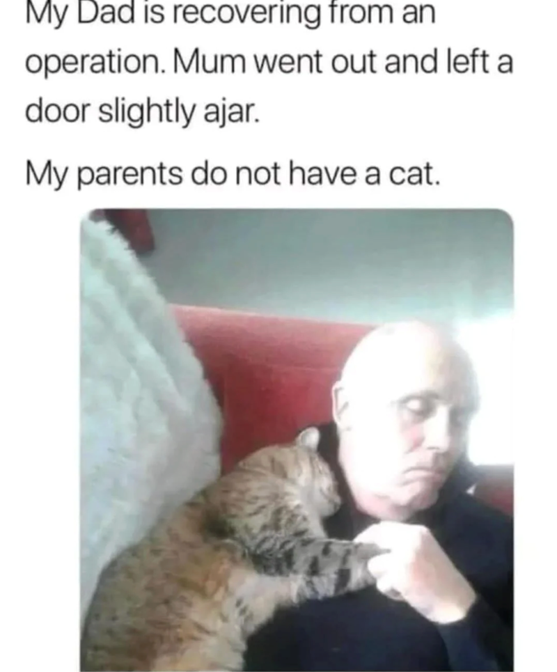 My Dad is recovering from an operation. Mum went out and left a door slightly ajar. My parents do not have a cat.
