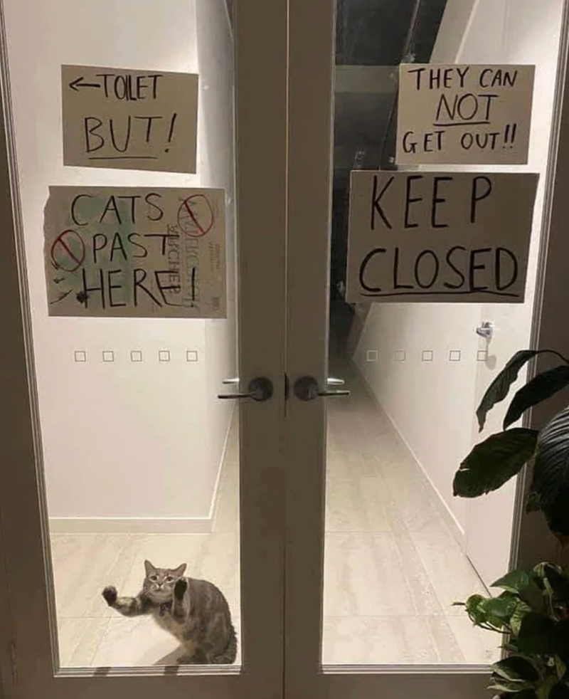 <TOLET BUT! CATS A PAST HERE! THEY CAN NOT GET OUT!! KEEP CLOSED Π 回