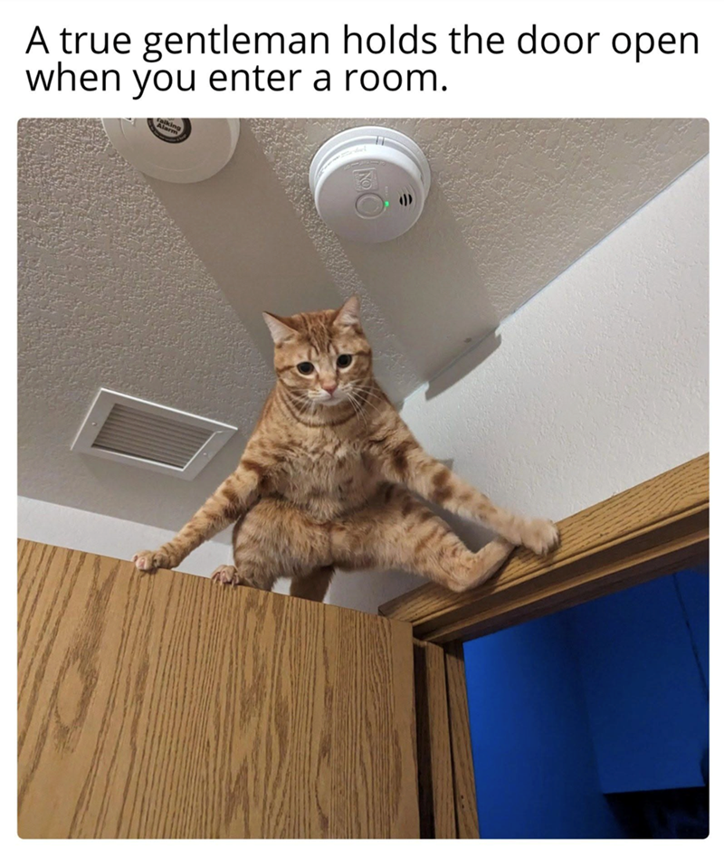 A true gentleman holds the door open when you enter a room.