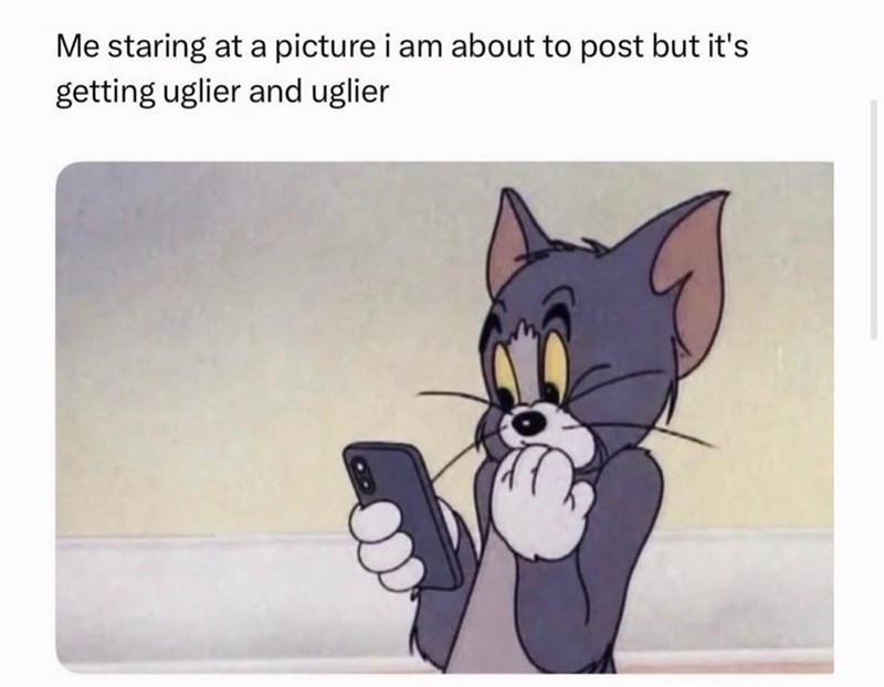 Me staring at a picture i am about to post but it's getting uglier and uglier