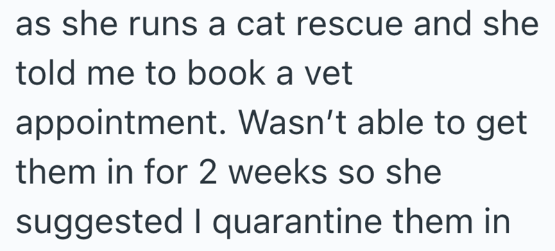 as she runs a cat rescue and she told me to book a vet appointment. Wasn't able to get them in for 2 weeks so she suggested I quarantine them in